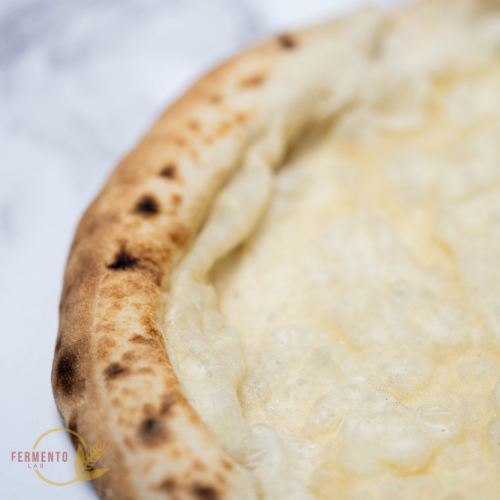 ARTISAN PIZZA BASE - HANDCRAFTED AND READY TO BAKE