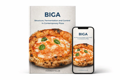 Biga in Contemporary Pizza – Digital Guide