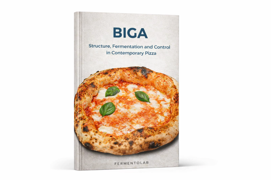 Biga in Contemporary Pizza – Digital Guide